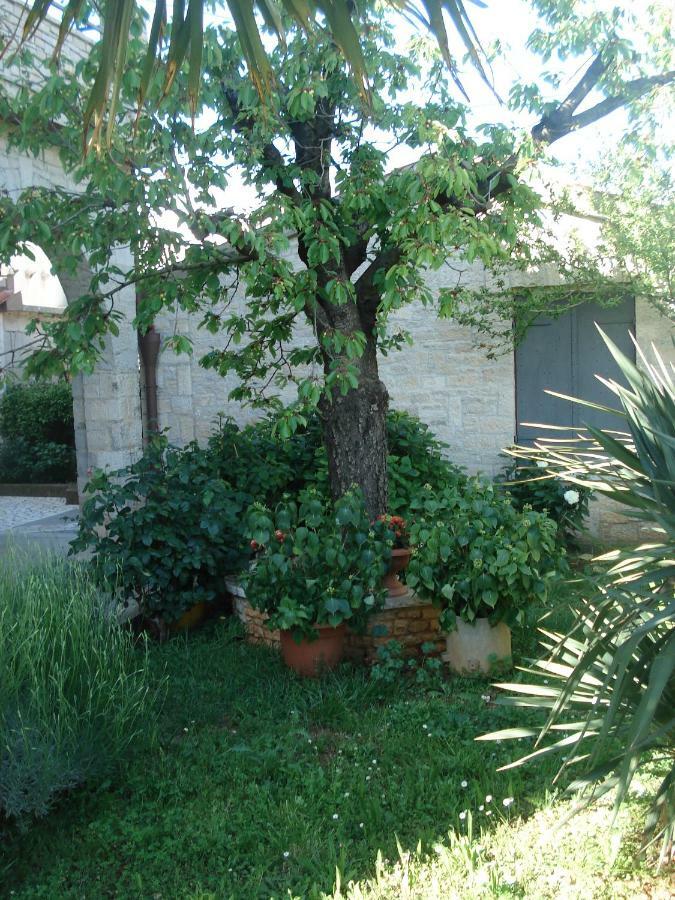Apartment Tijano Krnica Εξωτερικό φωτογραφία