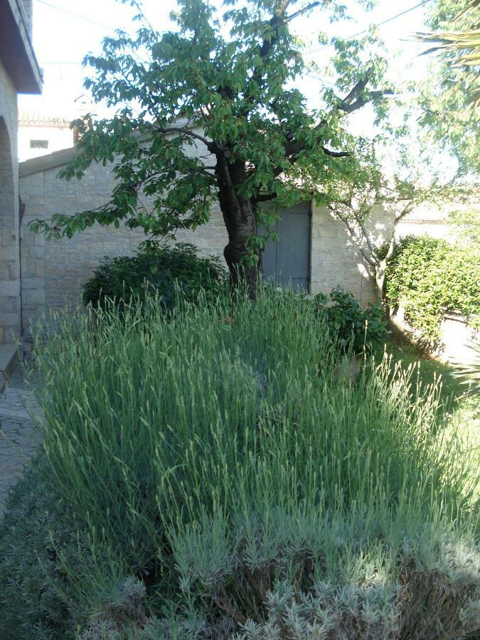 Apartment Tijano Krnica Εξωτερικό φωτογραφία